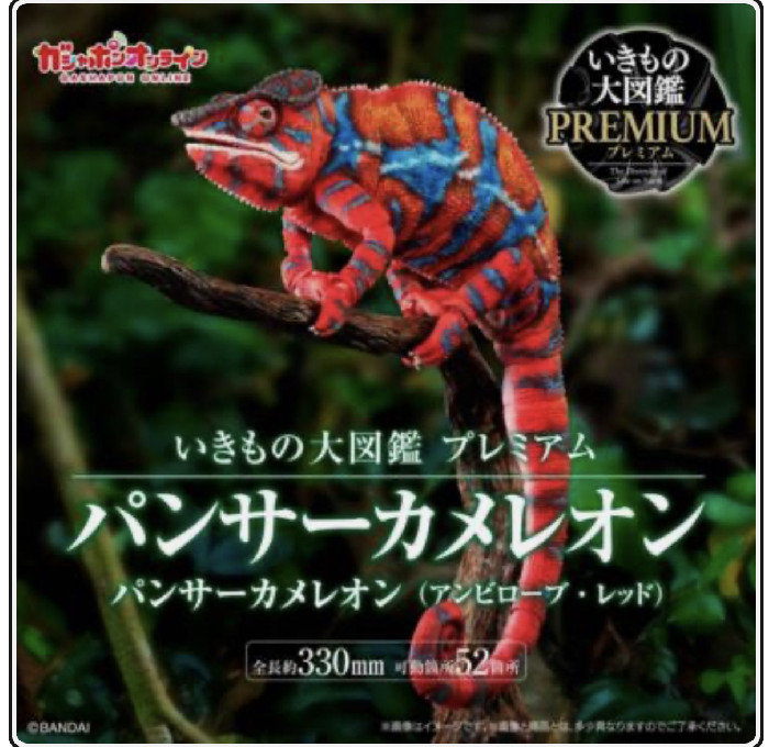 CHAMELEON LIFE 東京 amazarashi ① CHAMELEON LIFE 東京 amazarashi